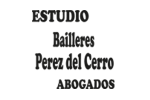 organizacion bailleres 1